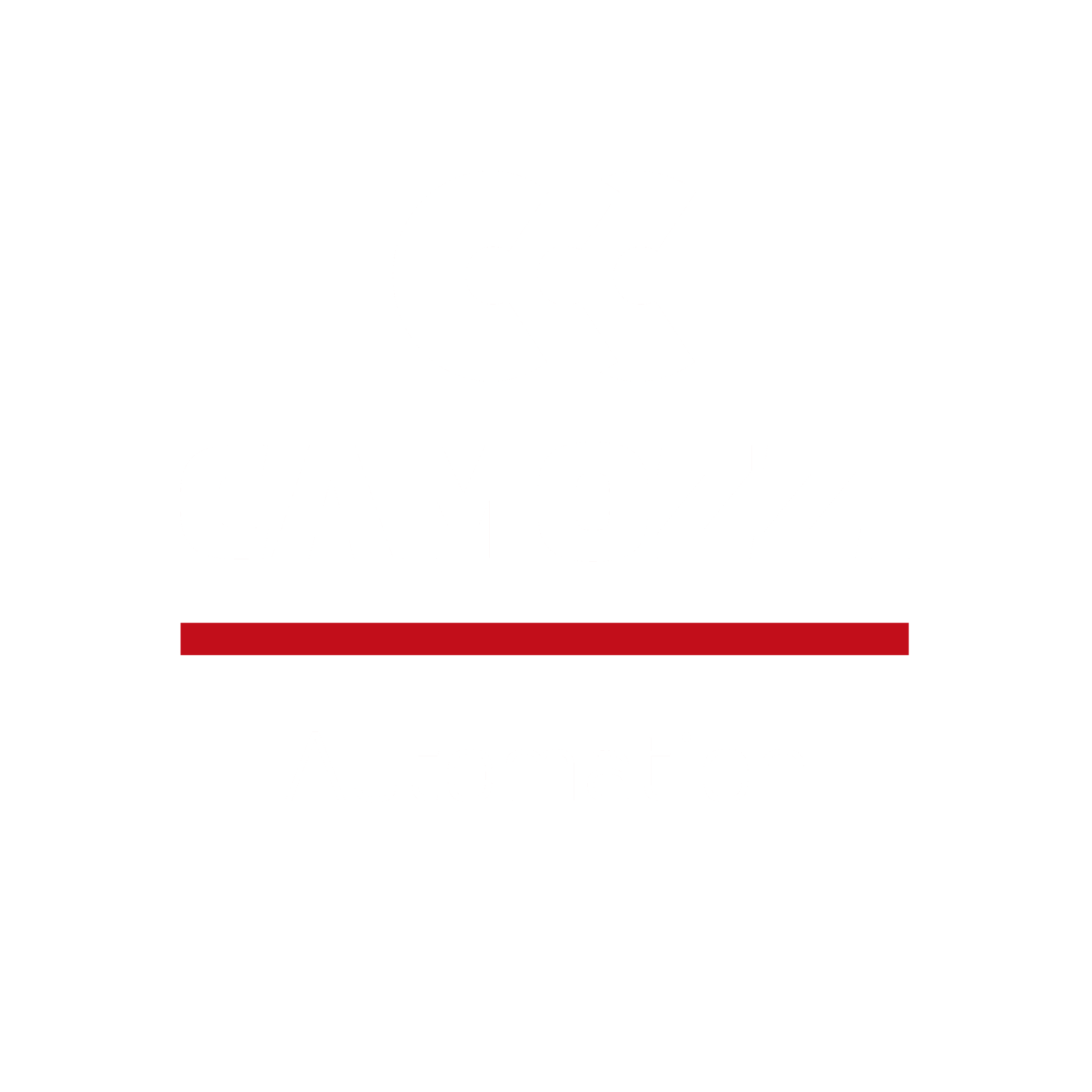 Camozzi Automation AB
